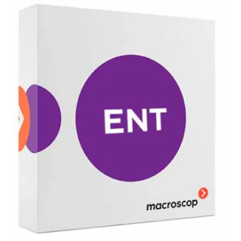 Macroscop Enterprise (лицензия на работу с 1 IP - камерой)