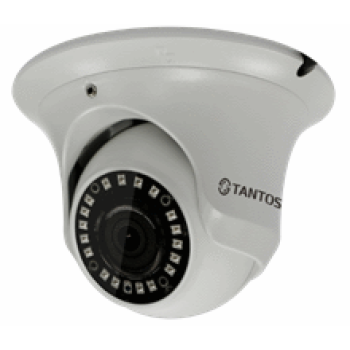 TSi-Ee50FP миниатюрная купольная уличная антивандальная камера с ИК подсветкой и аналитикой
